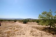 Country house with 100.000M2 olives and Almonds in Daft on Spain 