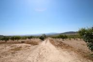 Country house with 100.000M2 olives and Almonds in Daft on Spain 
