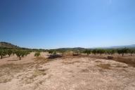 Country house with 100.000M2 olives and Almonds in Daft on Spain 