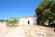 Country house with 100.000M2 olives and Almonds in Daft on Spain 