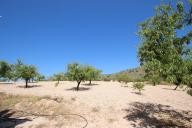 Country house with 100.000M2 olives and Almonds in Daft on Spain 