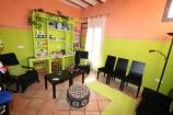 Bed and breakfast business in Pinoso  in Daft on Spain 