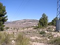 Bauland in Pinoso in Daft on Spain 