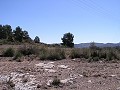 Bauland in Pinoso in Daft on Spain 