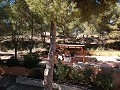 Villa Bodega - Grand House High Quality Build in Daft on Spain 