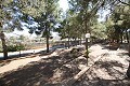 Villa Bodega - Grand House High Quality Build in Daft on Spain 