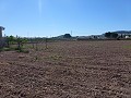 Aspe, plot for sale! - Building Plots for sale in Aspe, Alicante | Alicante, Aspe in Daft on Spain 