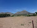 Aspe, plot for sale! - Building Plots for sale in Aspe, Alicante | Alicante, Aspe in Daft on Spain 