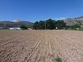 Aspe, plot for sale! - Building Plots for sale in Aspe, Alicante | Alicante, Aspe in Daft on Spain 