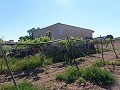 Aspe, plot for sale! - Building Plots for sale in Aspe, Alicante | Alicante, Aspe in Daft on Spain 