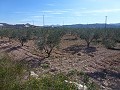 Stedelijke grond te koop - Bouwpercelen te koop in Macisvenda, Murcia | Alicante, Macisvenda in Daft on Spain 