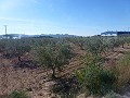 Stedelijke grond te koop - Bouwpercelen te koop in Macisvenda, Murcia | Alicante, Macisvenda in Daft on Spain 