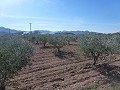 Stedelijke grond te koop - Bouwpercelen te koop in Macisvenda, Murcia | Alicante, Macisvenda in Daft on Spain 