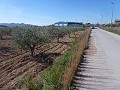 Stedelijke grond te koop - Bouwpercelen te koop in Macisvenda, Murcia | Alicante, Macisvenda in Daft on Spain 