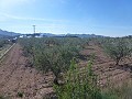 Stedelijke grond te koop - Bouwpercelen te koop in Macisvenda, Murcia | Alicante, Macisvenda in Daft on Spain 