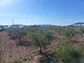 Stedelijke grond te koop - Bouwpercelen te koop in Macisvenda, Murcia | Alicante, Macisvenda in Daft on Spain 