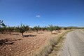 Bouwgrond met amandelbomen in Daft on Spain 