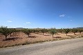 Bouwgrond met amandelbomen in Daft on Spain 