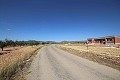 Bouwgrond met amandelbomen in Daft on Spain 