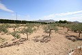 Vrijstaand landhuis dichtbij Monovar met geweldig uitzicht in Daft on Spain 