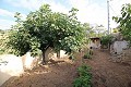 4 bedroom Cave House in Casas del Senor in Daft on Spain 