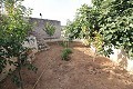 4 bedroom Cave House in Casas del Senor in Daft on Spain 