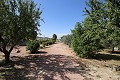 Detached Villa with industrial unit near Monovar and Pinoso in Daft on Spain 