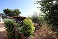 Gran casa independiente de 9 dormitorios en la ciudad, ideal para negocios in Daft on Spain 