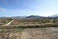 Gran Rico Villa - 4bed 4bath Pool Garage Gästehaus + in Daft on Spain 