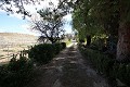 Freistehende Villa in Monovar mit zwei Gästehäusern und einem Pool in Daft on Spain 