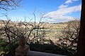 Freistehende Villa in Monovar mit zwei Gästehäusern und einem Pool in Daft on Spain 
