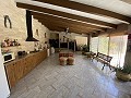 Gran Casa de Campo con negocio de mármol y plantación de uva in Daft on Spain 