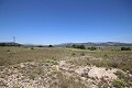 Gran Casa de Campo con negocio de mármol y plantación de uva in Daft on Spain 