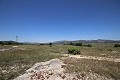 Gran Casa de Campo con negocio de mármol y plantación de uva in Daft on Spain 