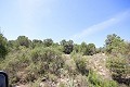 Gran Casa de Campo con negocio de mármol y plantación de uva in Daft on Spain 