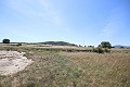 Gran Casa de Campo con negocio de mármol y plantación de uva in Daft on Spain 