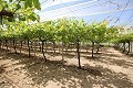 Gran Casa de Campo con negocio de mármol y plantación de uva in Daft on Spain 
