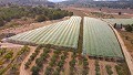 Gran Casa de Campo con negocio de mármol y plantación de uva in Daft on Spain 