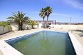Gran Casa de Campo con negocio de mármol y plantación de uva in Daft on Spain 