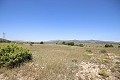 Gran Casa de Campo con negocio de mármol y plantación de uva in Daft on Spain 
