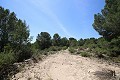 Gran Casa de Campo con negocio de mármol y plantación de uva in Daft on Spain 