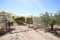 Gran Casa de Campo con negocio de mármol y plantación de uva in Daft on Spain 
