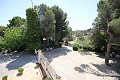 Gran Casa de Campo con negocio de mármol y plantación de uva in Daft on Spain 