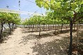 Gran Casa de Campo con negocio de mármol y plantación de uva in Daft on Spain 