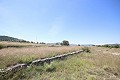 Gran Casa de Campo con negocio de mármol y plantación de uva in Daft on Spain 