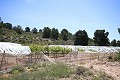 Gran Casa de Campo con negocio de mármol y plantación de uva in Daft on Spain 