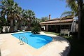 Grote villa met zwembad en tuin in Daft on Spain 