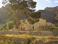 Finca de 12,441m2 en Raiguero de Bonanza, Orihuela in Daft on Spain 