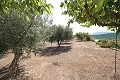 Detached Villa close to town in Caudete in Daft on Spain 