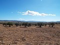 10.500m2 Grundstück mit Leitungswasser in Daft on Spain 
